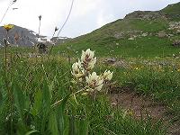 IMG_1482