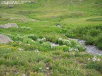 IMG_1495
