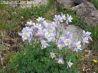 IMG_1499