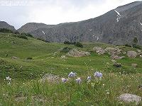 IMG_1513