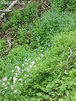 IMG_1525