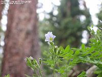 IMG_1532