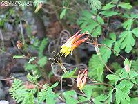 IMG_1557