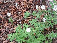 IMG_1560