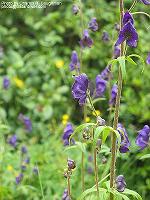 IMG_1562