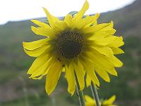 IMG_1572 