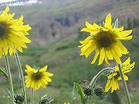 IMG_1576 
