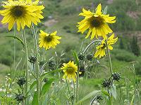 IMG_1577 