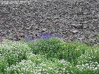 IMG_1588 