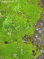 IMG_1589 