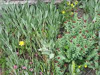 IMG_1591 