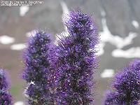IMG_1604 