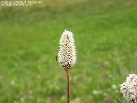 IMG_1619 