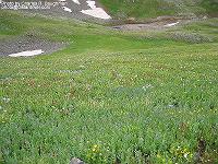 IMG_1654 