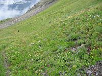 IMG_1655 