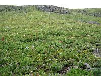 IMG_1658 