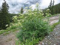 IMG_1663