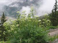 IMG_1664 