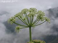 IMG_1665 