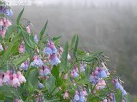 IMG_1671 