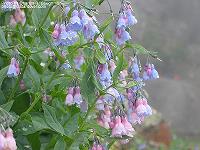 IMG_1672 