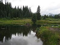 IMG_1683