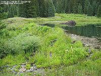 IMG_1685