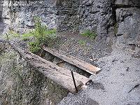 IMG_1736 