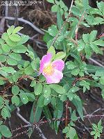 IMG_1779 