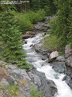 IMG_1781 