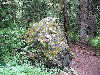 IMG_1788 