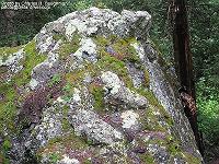 IMG_1789 
