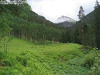 IMG_1790 