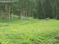 IMG_1791 