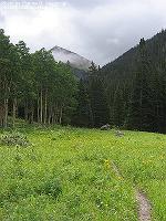 IMG_1792 