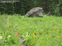 IMG_1793 