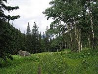 IMG_1797 