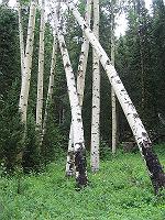 IMG_1804