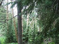 IMG_1807 