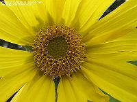 IMG_1811 