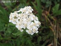 IMG_1814 