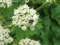 IMG_1834 