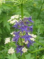 IMG_1843 