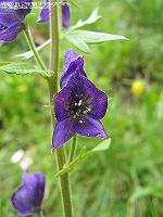 IMG_1853 