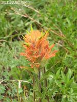 IMG_1856 