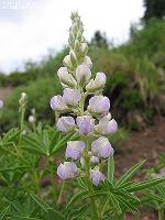IMG_1860