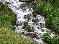 IMG_1884