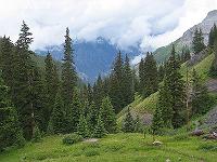 IMG_1889