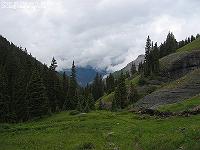 IMG_1890