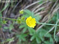 IMG_1924 